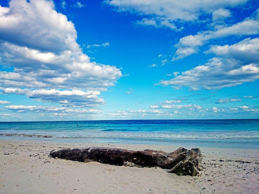 Alaya Tulum By Ahau Collection Hotel Bagian luar foto